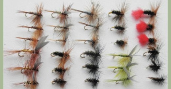 Wet Trout Flies, 50 Per Pack, All Named Varieties, For Fly Fishing, SF3C UK - Foto 11